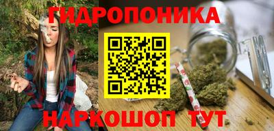 герыч Дубна