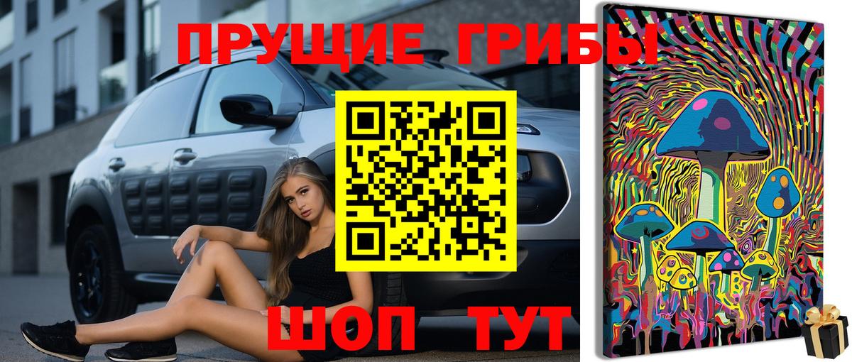 Псилоцибиновые грибы Psilocybe Малоярославец