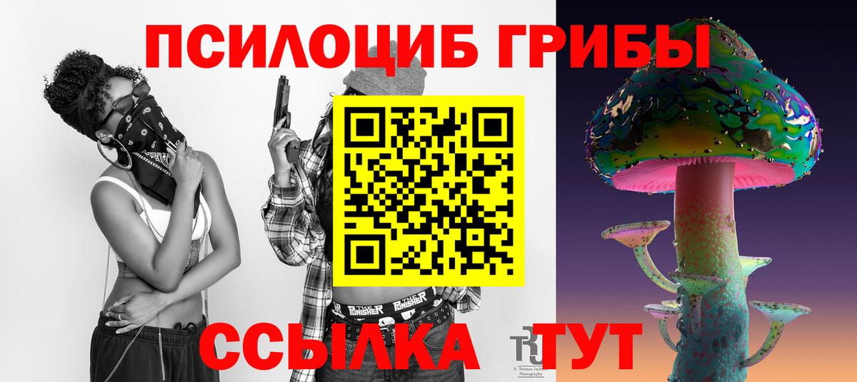 Галлюциногенные грибы Psilocybe  Вход с VPN  Малоярославец  Галлюциногенные грибы MAGIC MUSHROOMS 